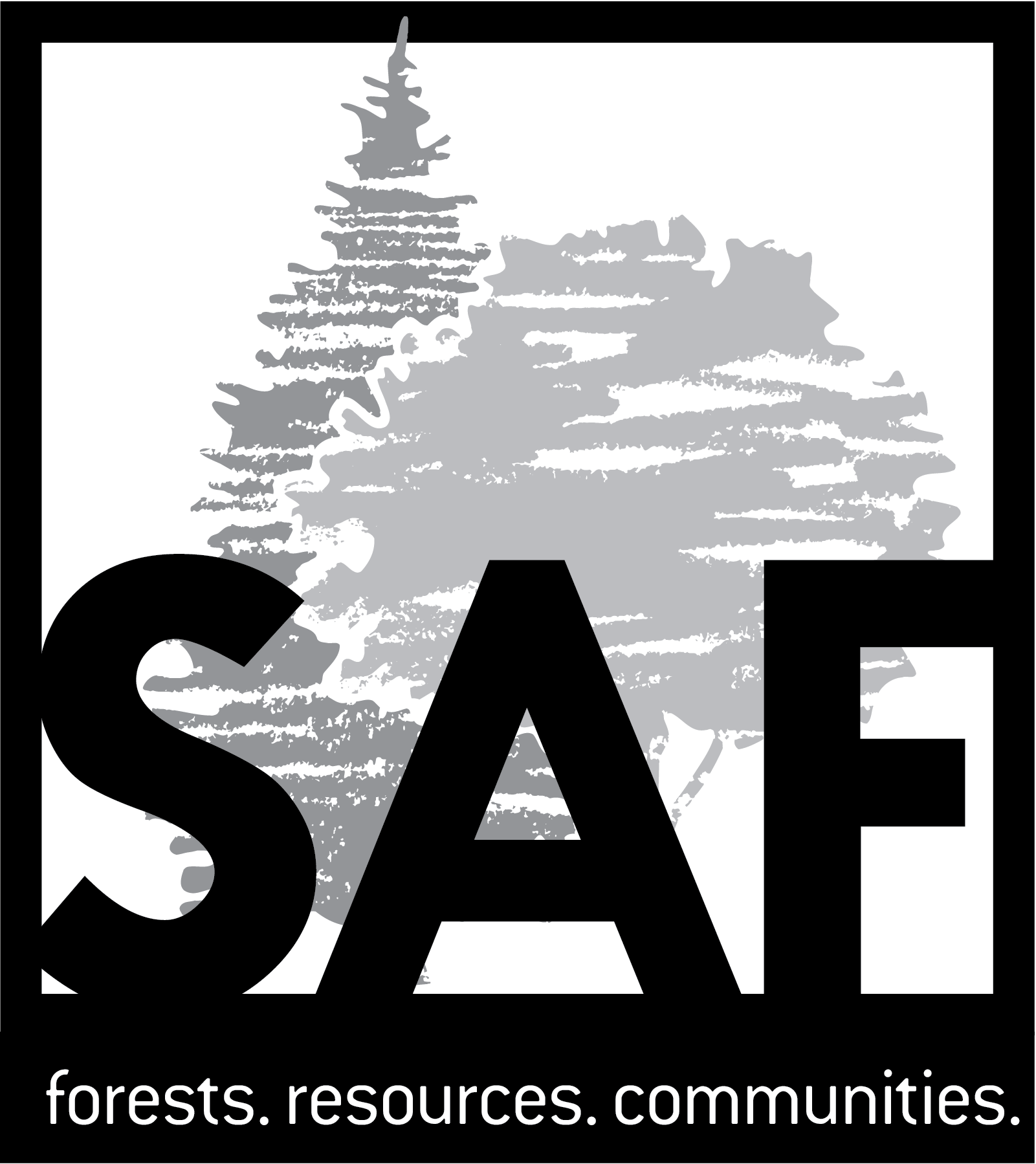 Logo for SAF